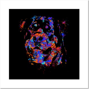 Colorful Rottweiler  - Metzgerhund Posters and Art